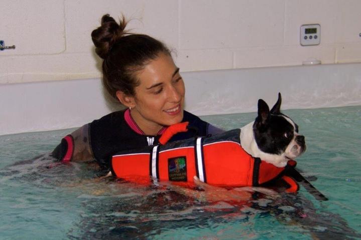 Hydromassage canin Rive-Sud de Montréal