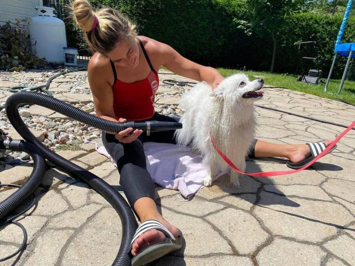 Pension pour chien Rive-Sud de Montréal