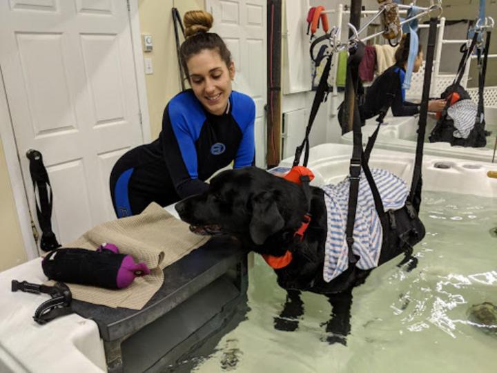 dérivé Hydromassage canin Rive-Sud de Montréal
