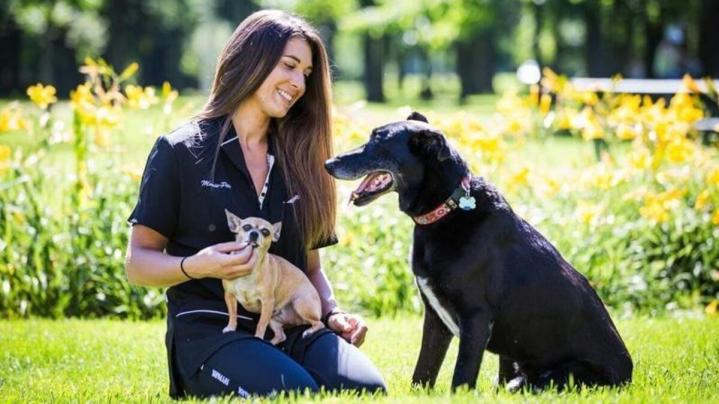 Hydromassage canin Rive-Sud de Montréal